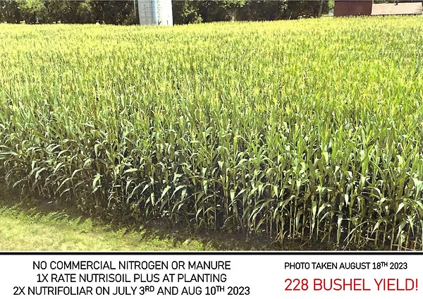 NutfiFoliar Plus Derek Field 2023 IMAGE